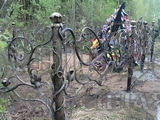 Художественная ковка Вологда кованые ограды